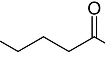 GABA