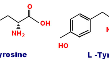L-tyrosine