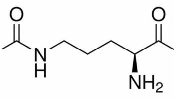 citrulline