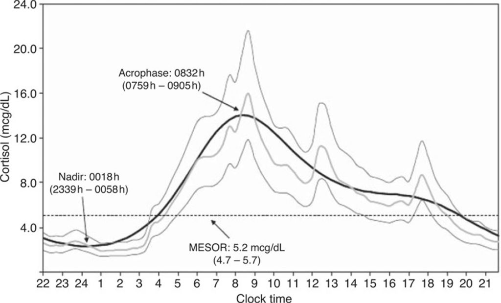 Cortisol - Levels, Function, High Cortisol Symptoms, Cortisol Test