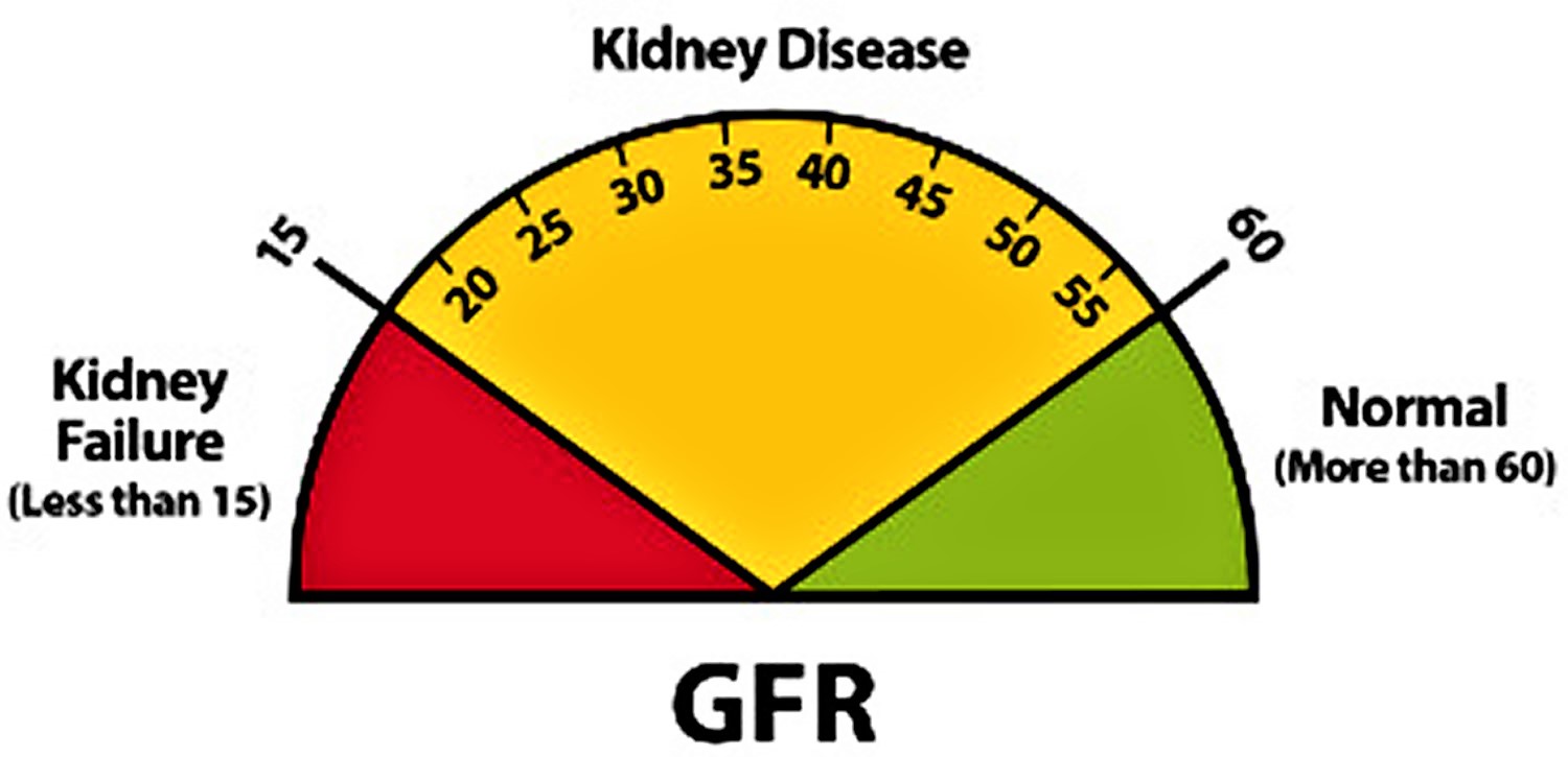 kidney function levels chart