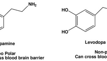 levodopa