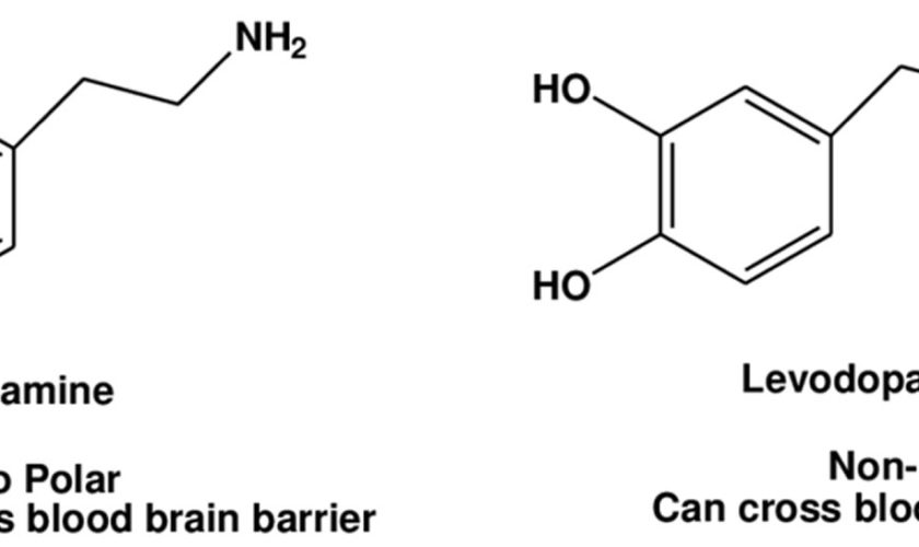 levodopa