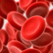 mch blood test