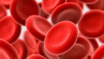 mch blood test