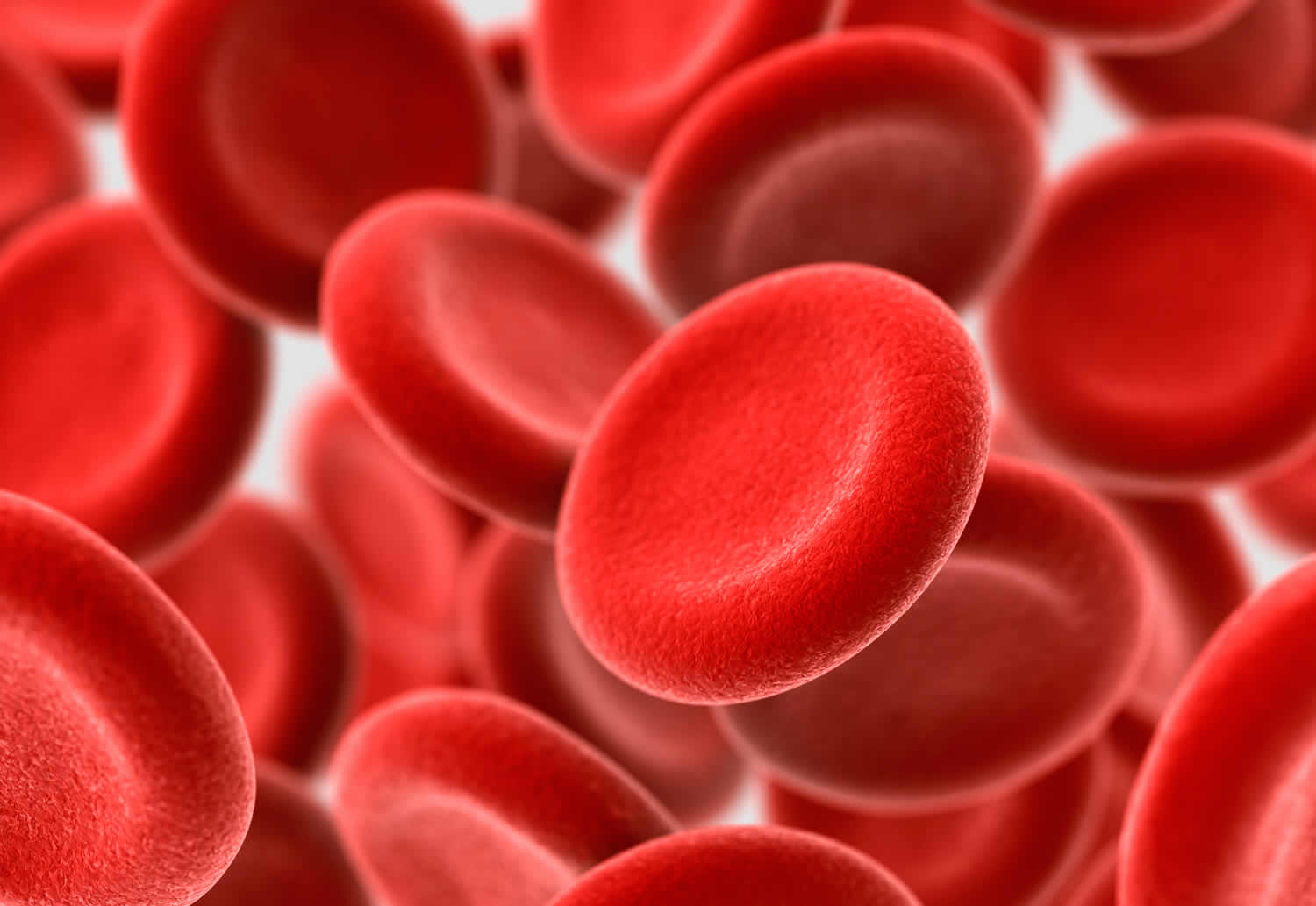 What Is Red Blood Count In Blood Test