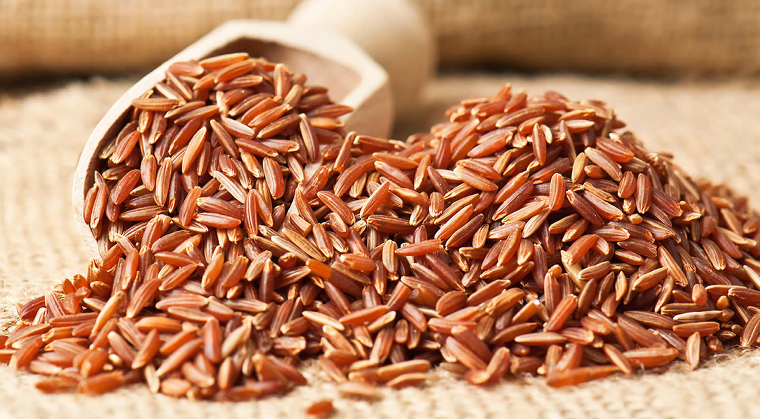 Red Yeast Rice Reviews Red Yeast Rice Dosage Side Effects