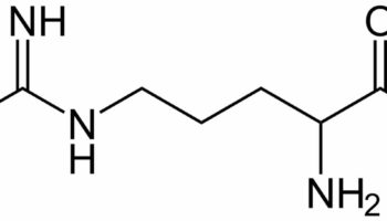 L-arginine