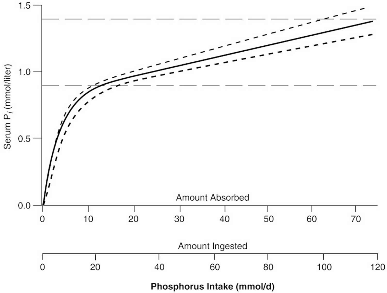 Relation of serum inorganic phosphate to absorbed intake in adults with normal renal function