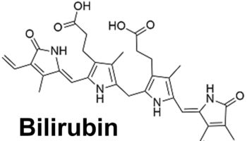 bilirubin