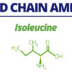 branched-chain-amino-acids