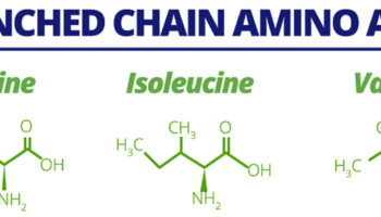 branched-chain-amino-acids