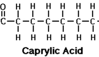 caprylic acid