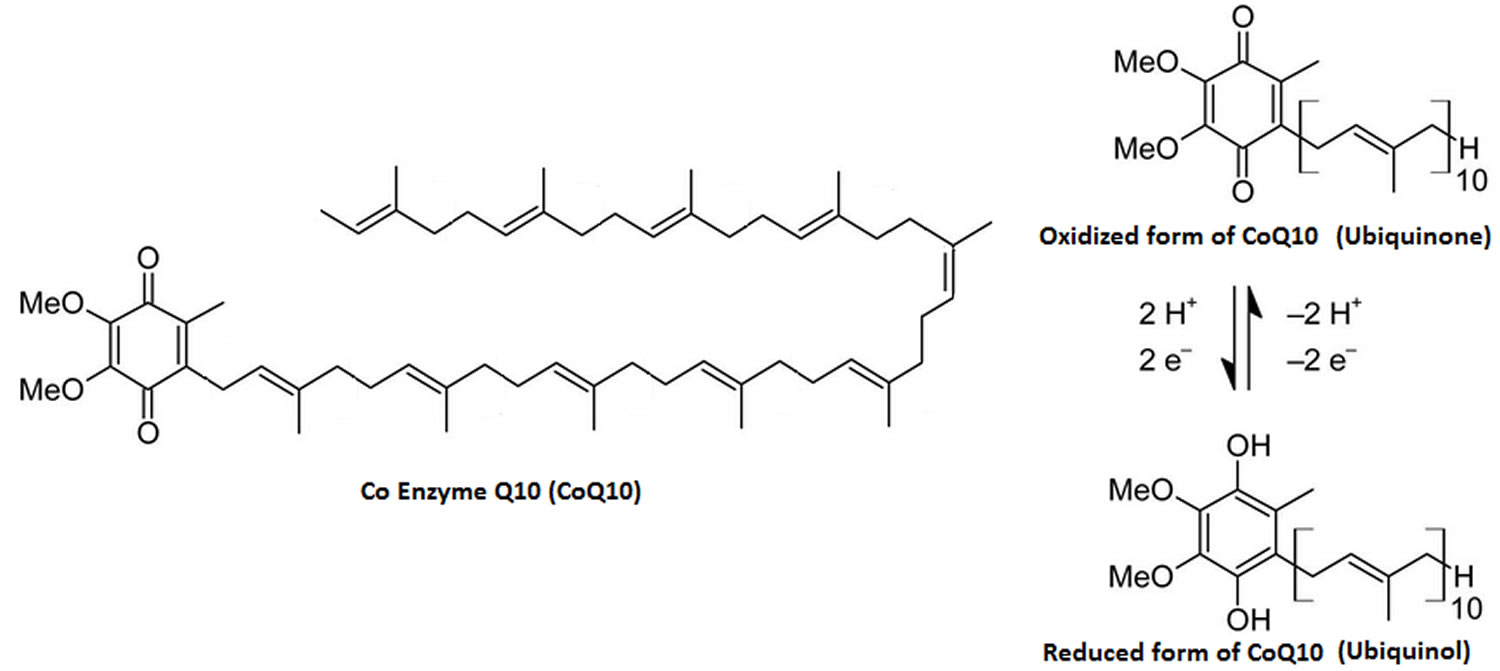 Coenzyme Q10 - Supplement, Uses, Dosage, Side Effects