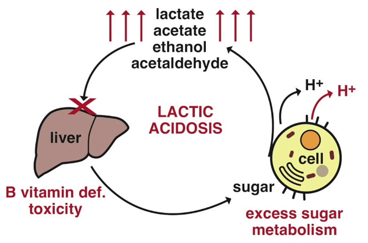 lactic-acidosis-causes-symptoms-lactic-acidosis-treatment