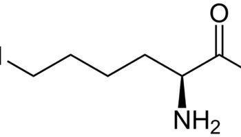 lysine