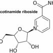 nicotinamide riboside