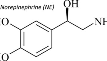 norepinephrine
