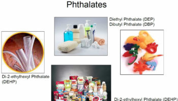 phthalates