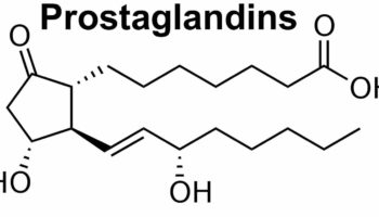 prostaglandins