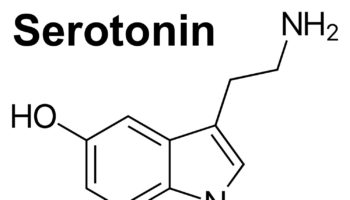 serotonin