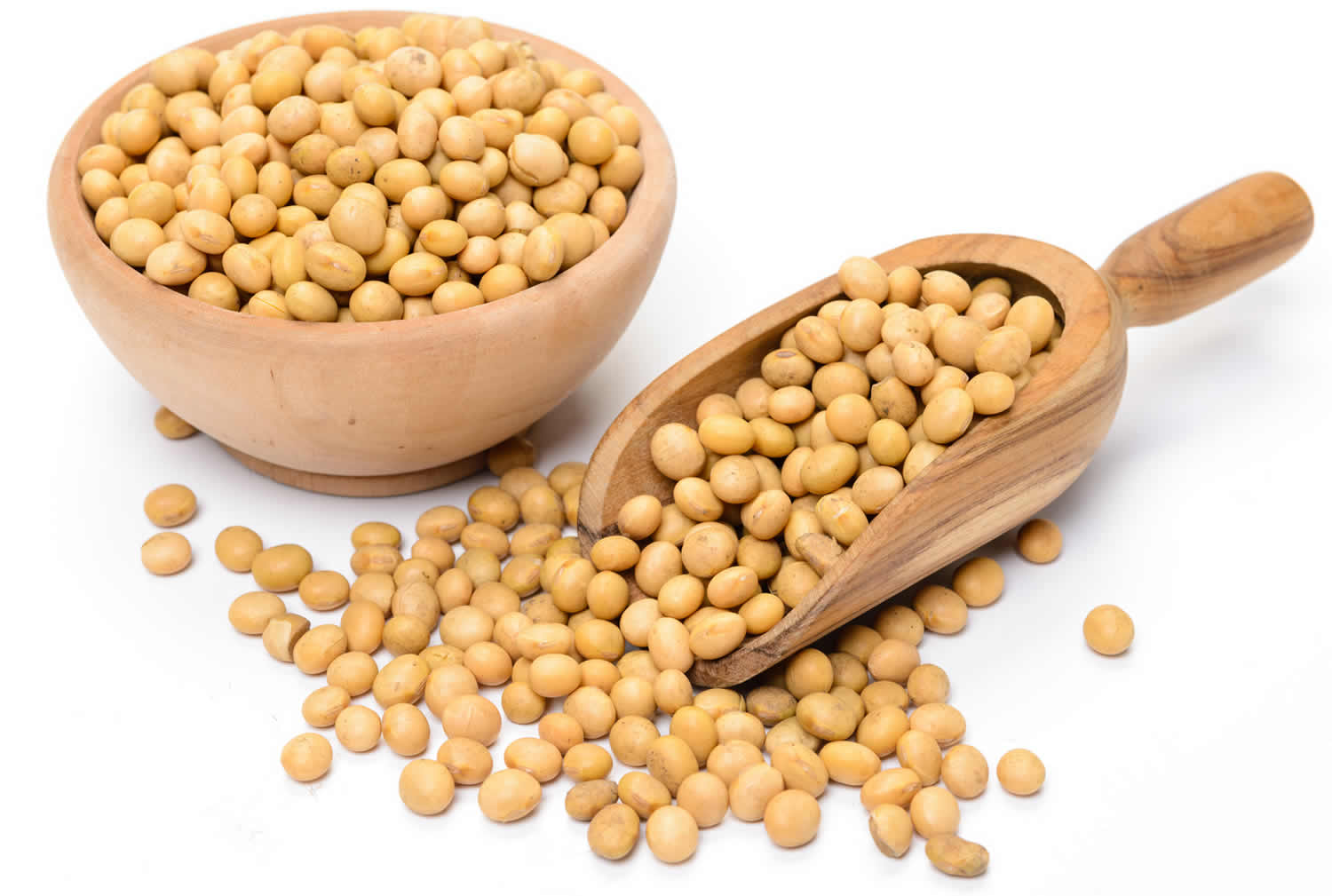 lecithin-soy-lecithin-uses-side-effects-soy-lecithin-allergy