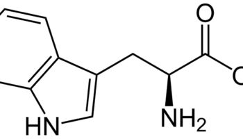 tryptophan