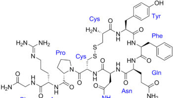 vasopressin