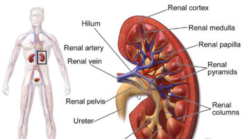 Fanconi syndrome