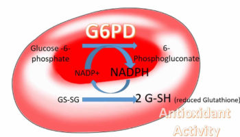 g6pd deficiency