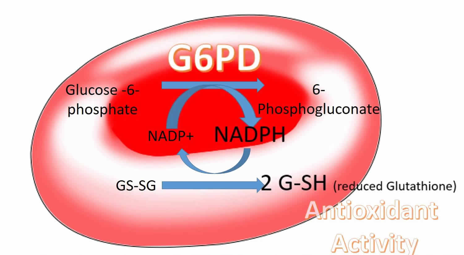G6PD deficiency causes, symptoms, drugs to avoid & G6PD deficiency