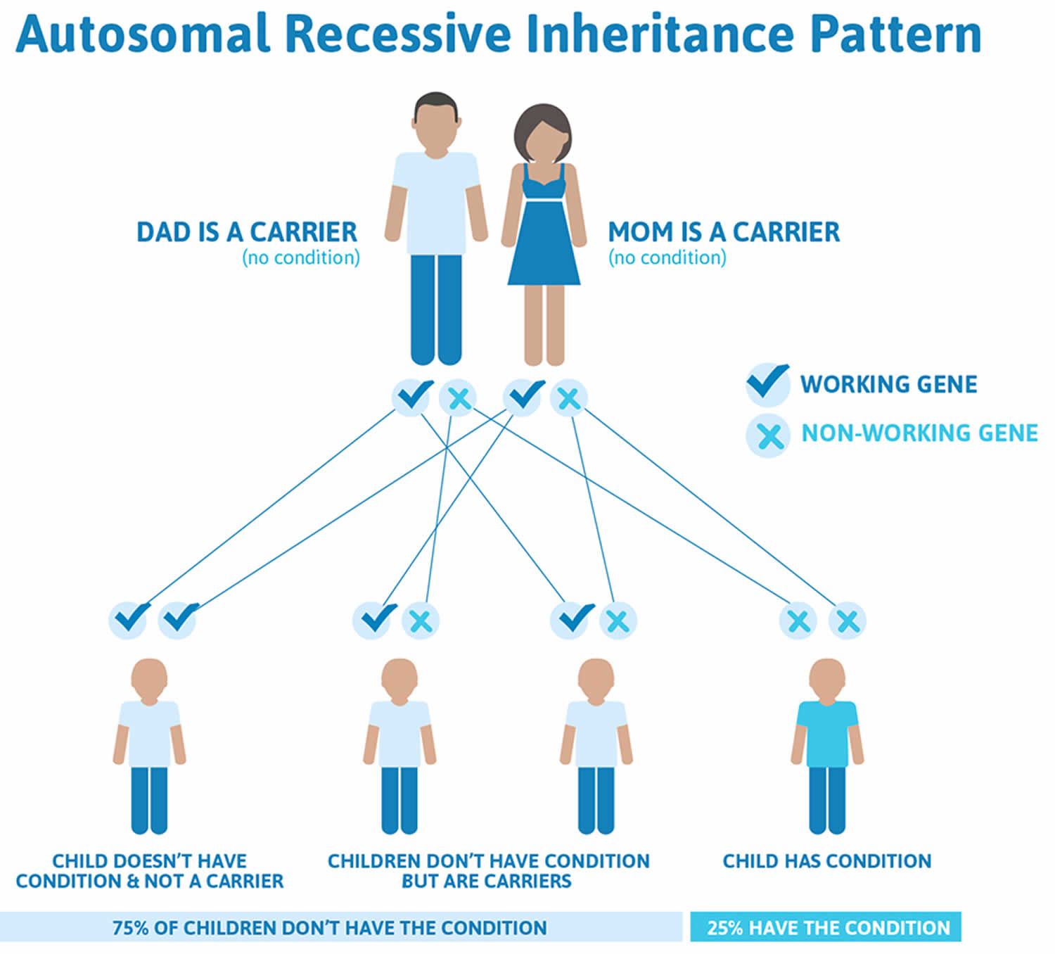 Galactosemia autosomal recessive inheritance pattern