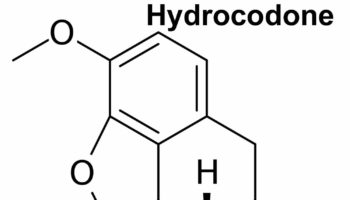 hydrocodone
