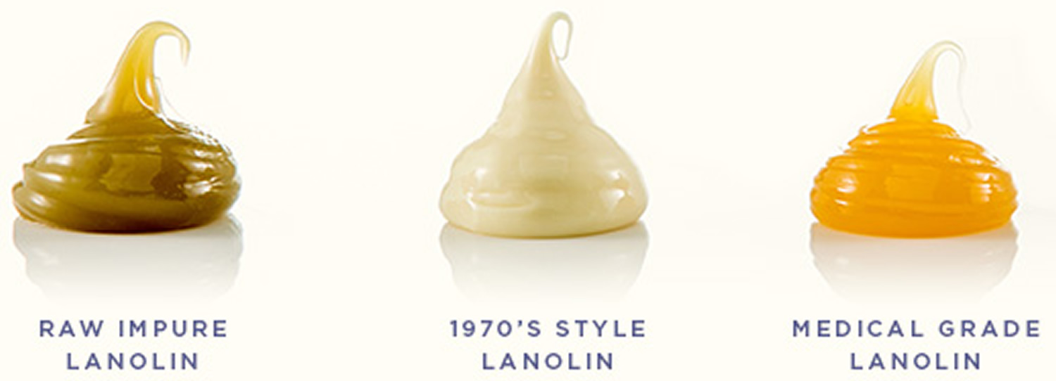 Lanolin, where does lanolin come from, lanolin uses, lanolin allergy