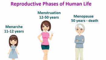 menarche