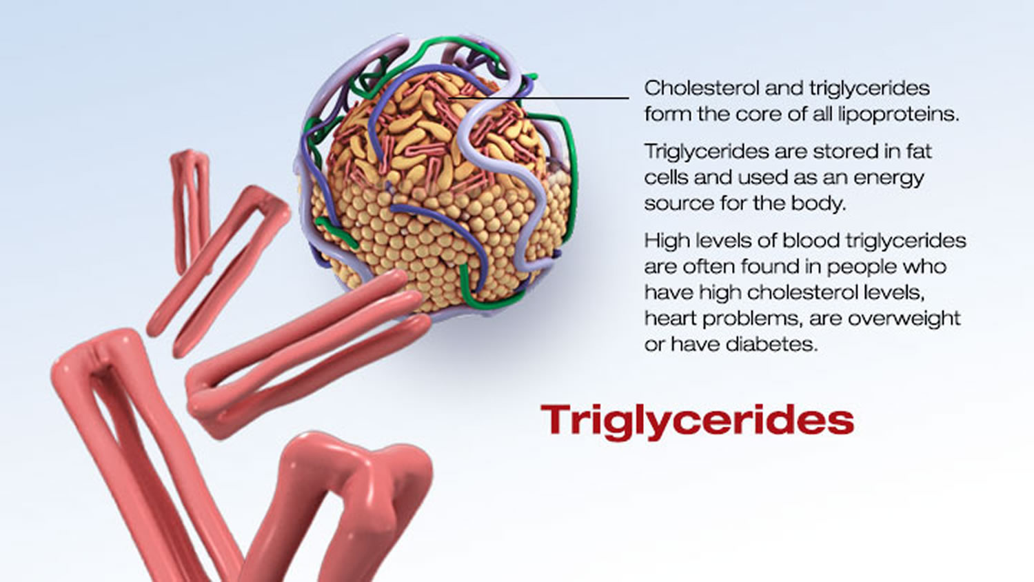 Meaning triglycerides What Do