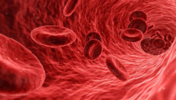 Blood clot
