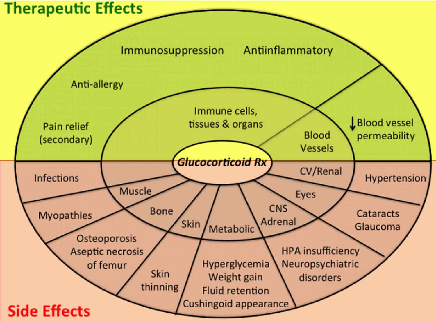 Glucocorticoid medications effects and side-effects
