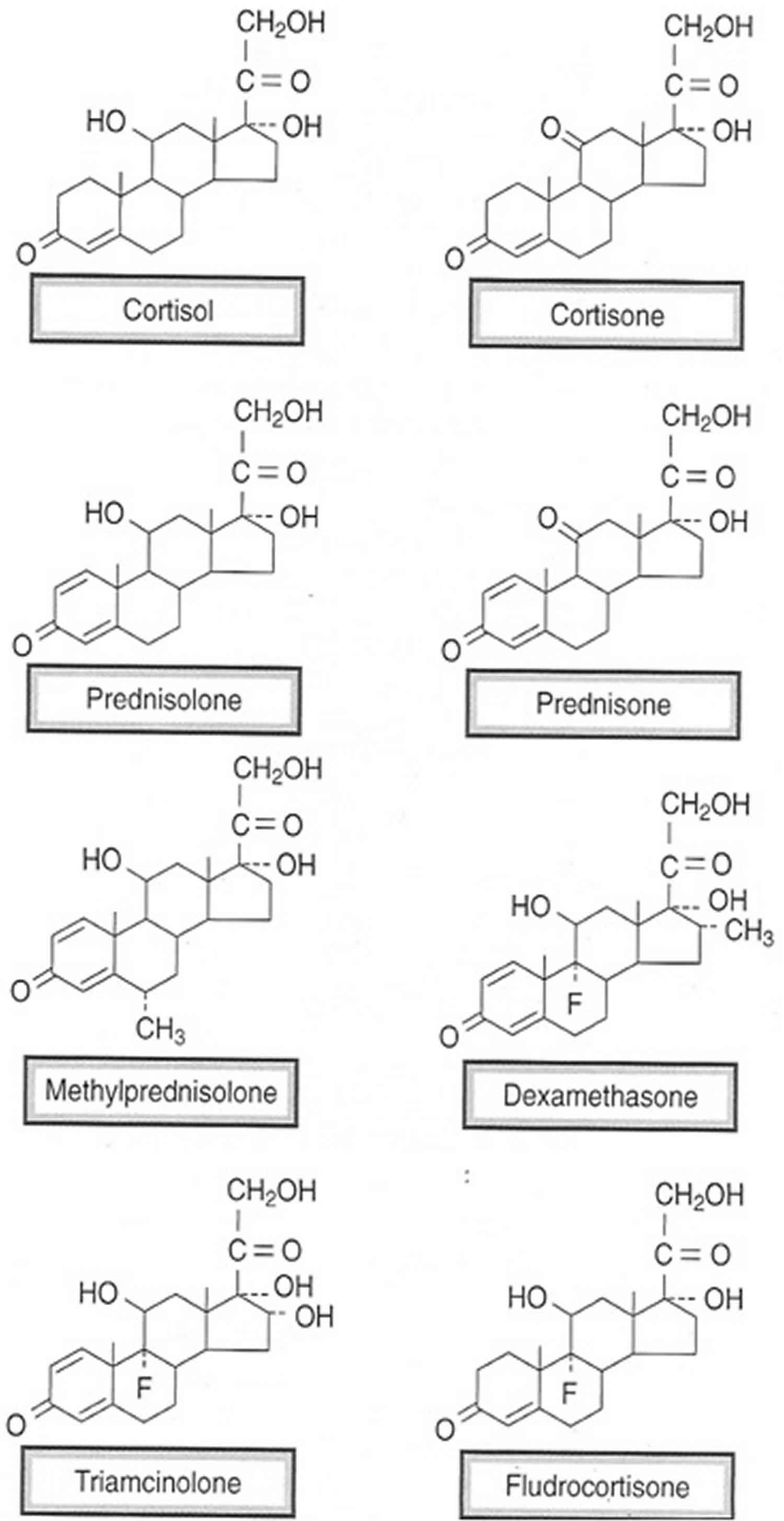 Glucocorticoid medications