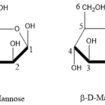 d-mannose