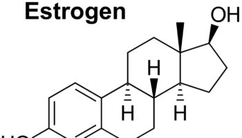 estrogen