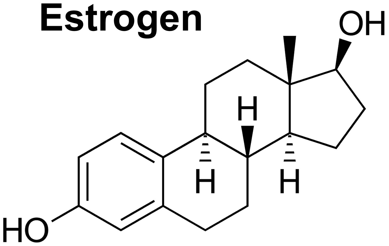 Estrogen function, pills, foods, estrogen blocker and estrogen ...