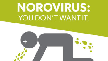 norovirus