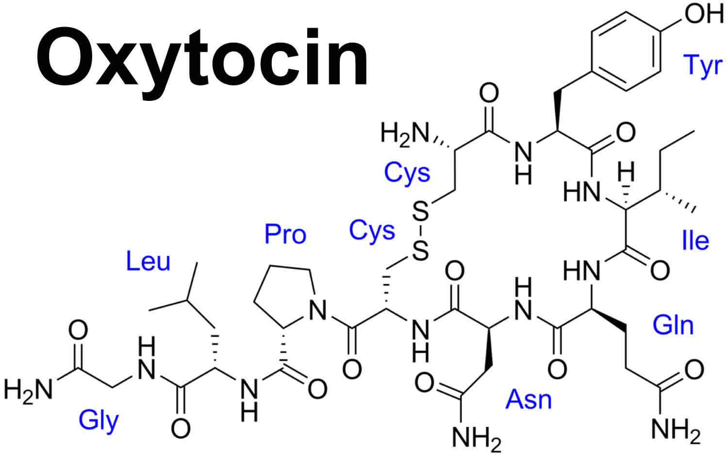 Окситоцин – Telegraph