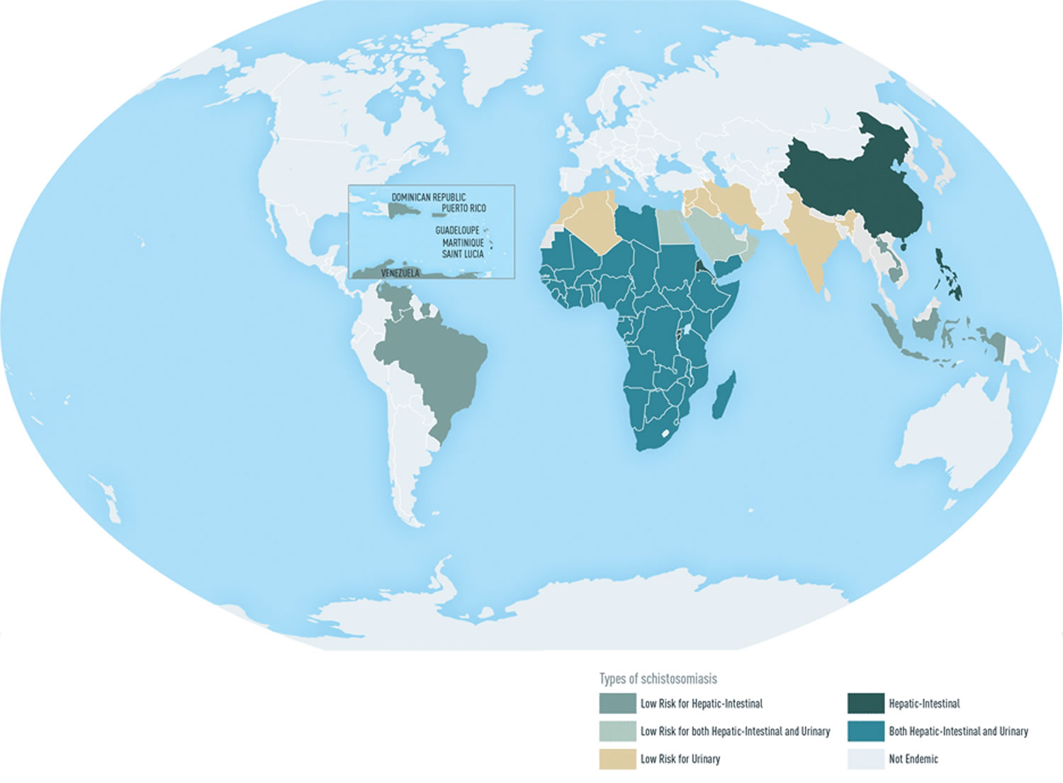 schistosomiasis global distribution