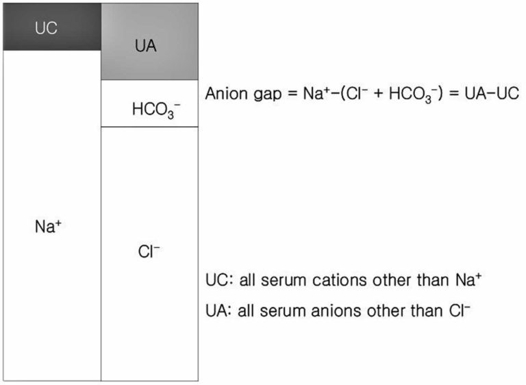 Anion Gap Calculation Anion Gap Blood Test Causes Of High Or Low 