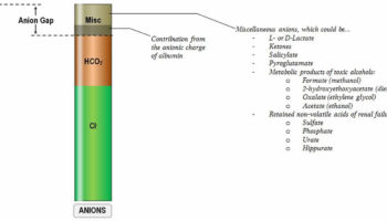 anion gap