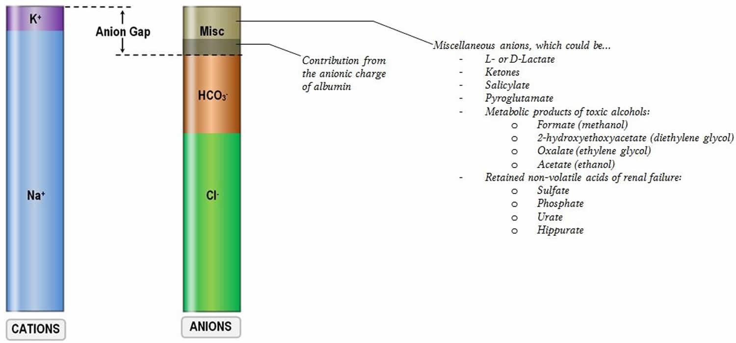 Anion Gap Calculation Anion Gap Blood Test Causes Of High Or Low 