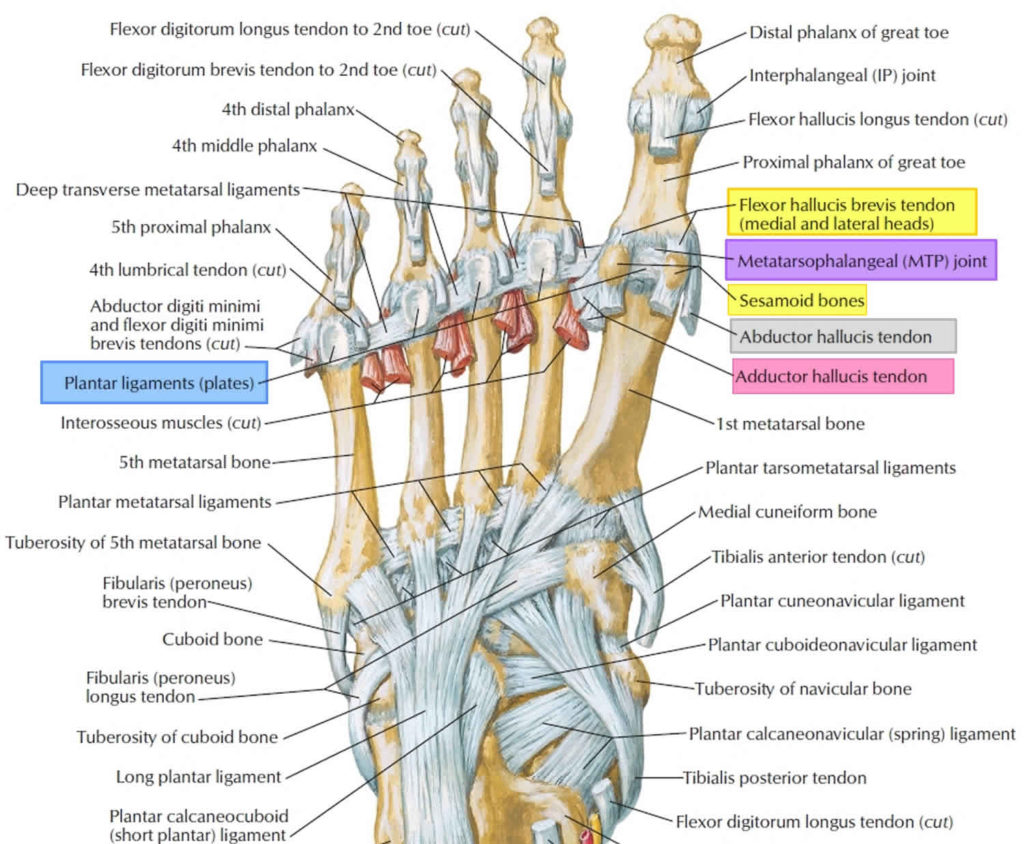 Turf toe causes, signs, symptoms, recovery, diagnosis & turf toe treatment