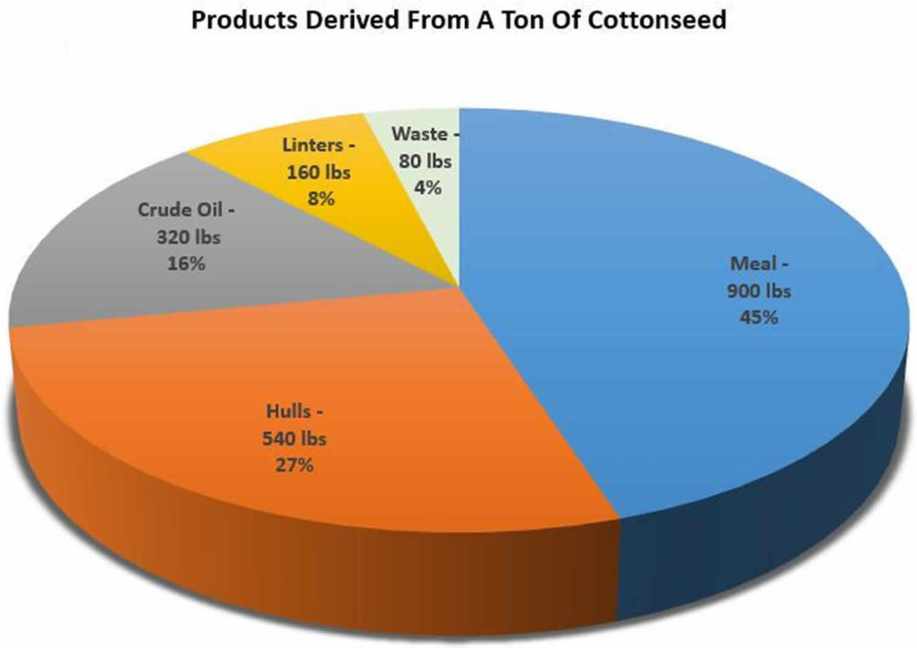 Cottonseed oil nutrition facts, uses - Is cottonseed oil healthy?